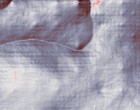 js baubetreuung