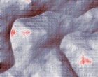 projektentwicklung burglengenfeld
