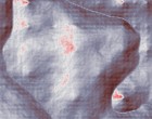 strabag projektentwicklung gmbh