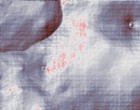 strabag projektentwicklung