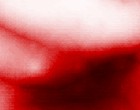 projektentwicklung liste